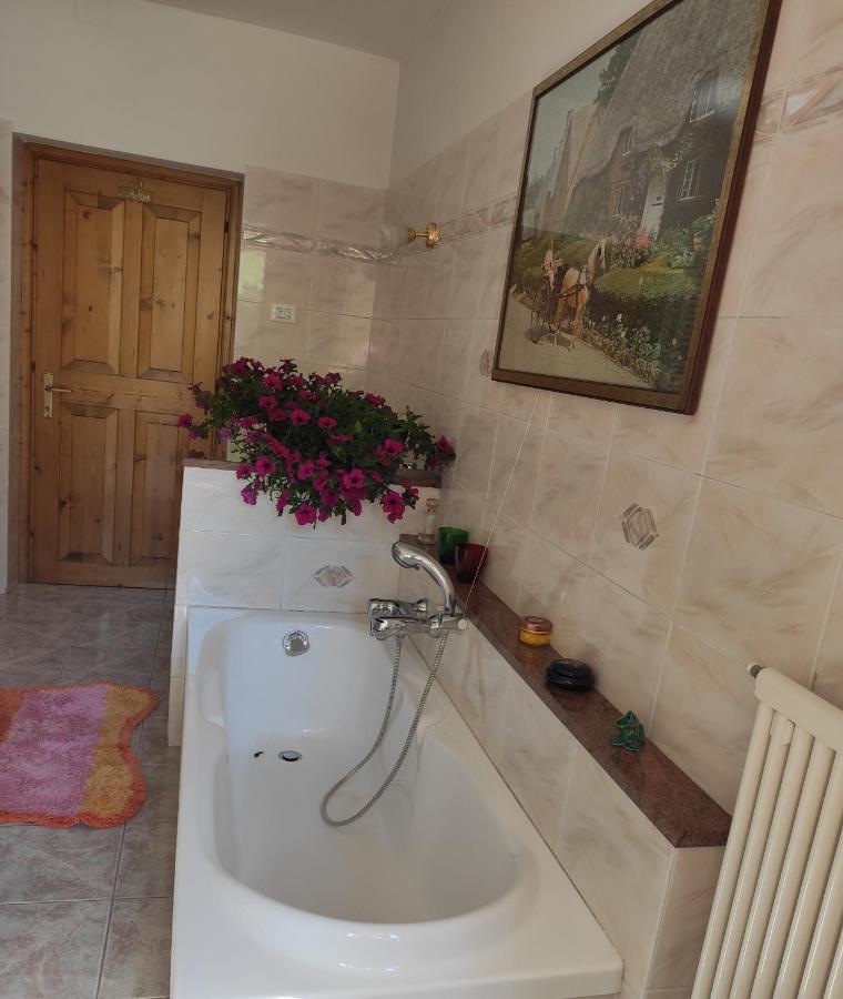Apartamento Casa "Berto E Costantina" Tregiovo Exterior foto